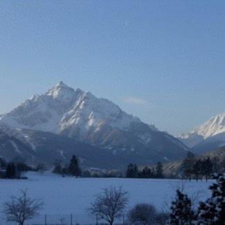Haus Angelika - Bed & Breakfast - Innsbruck/Igls Eksteriør bilde